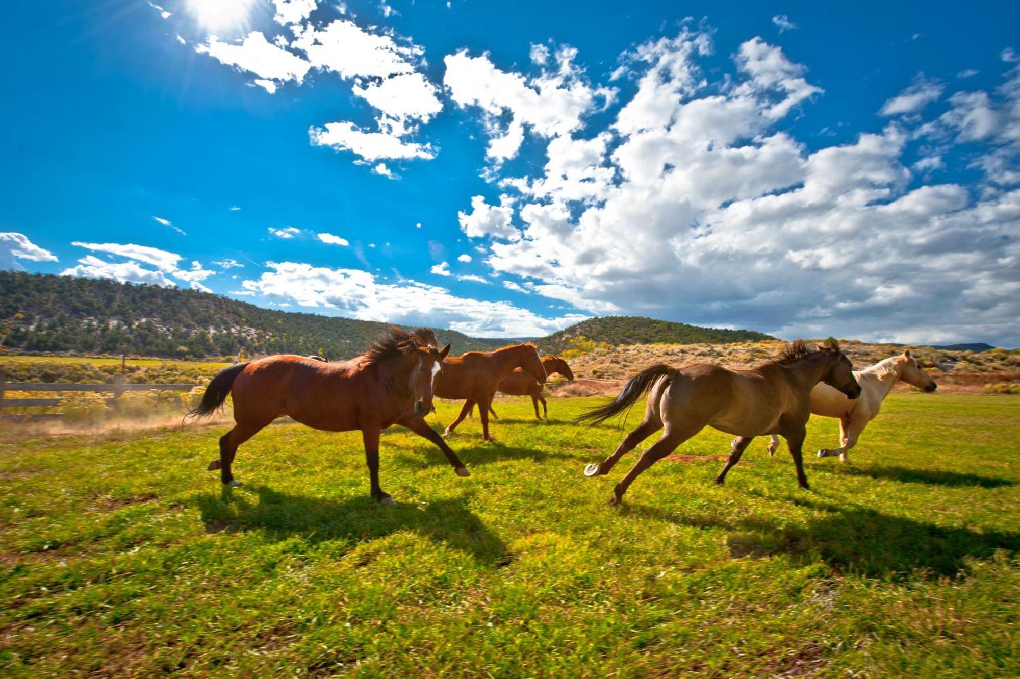 Boulder Mountain Guest Ranch Βίλα Εξωτερικό φωτογραφία