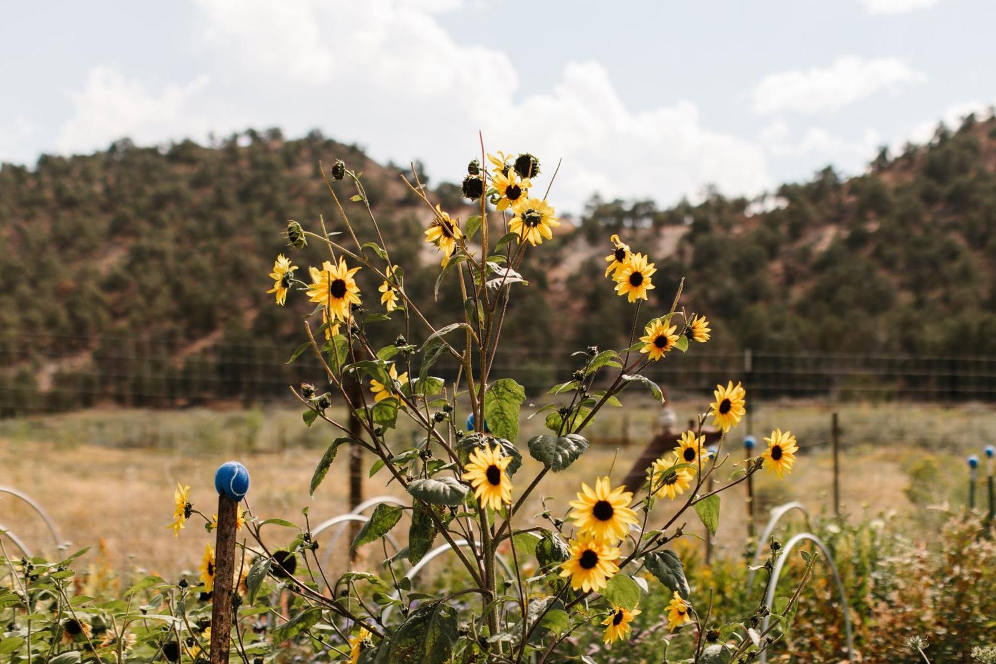Boulder Mountain Guest Ranch Βίλα Εξωτερικό φωτογραφία